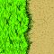 tile_forest_10