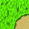 tile_forest_11