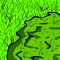 tile_forest_24
